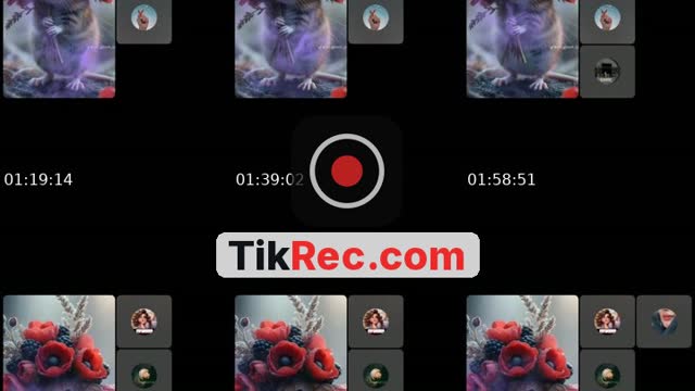 @yyaahh40 TikTok live from 2026-10-01