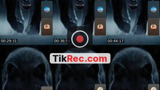 @.gold51 TikTok live