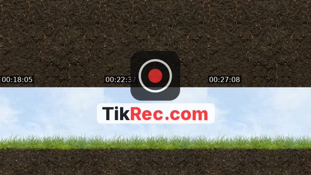 TikTok live: M-WORLD 009 ll WONDERLAND by @new.world_009