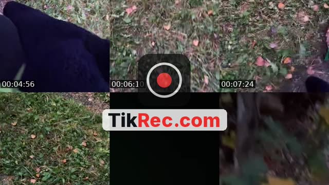 @baka8849 TikTok live