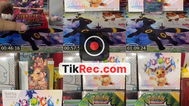 TikTok live: Pokemon Auction by @payray123