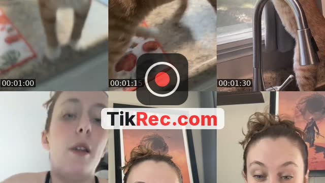 @bumpersandwich TikTok live