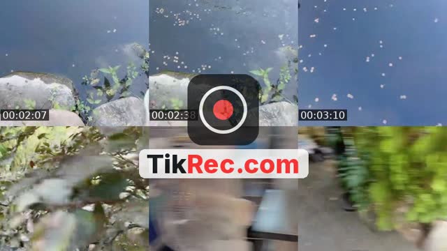 live 10' nhé - @mytay.24100