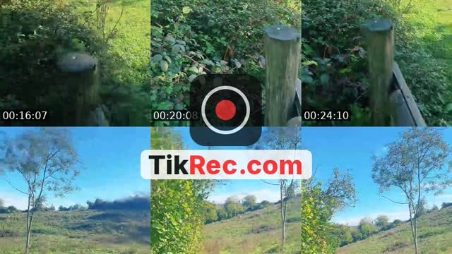 TikTok live: Wake n Bake by @unfairbound