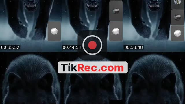 @.gold51 TikTok live