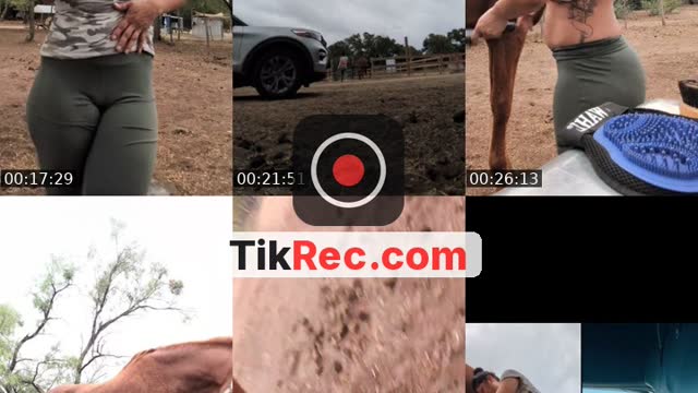 TikTok live: at the barn by @mariagordon94