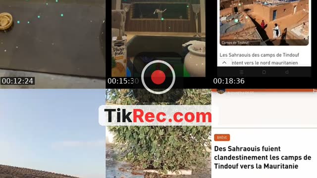 @lemondeourien74 TikTok live