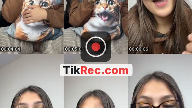 Tentando gatinho - @biaporaqui_