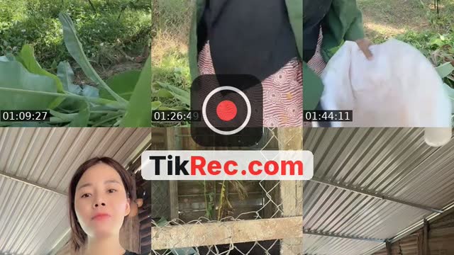 @nhuylee.2000 TikTok live from 2026-10-28