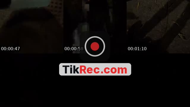 @sizdepara TikTok live