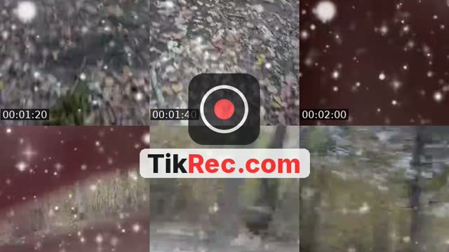 @morue65 TikTok live