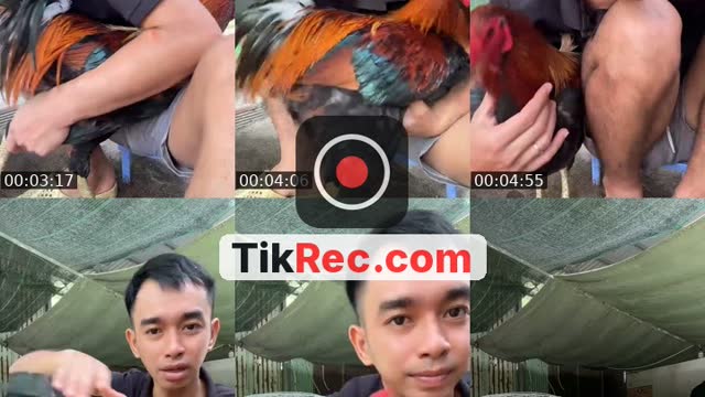 I love tiktok - @nguyen.tam140