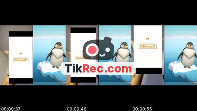@shellda01 TikTok live