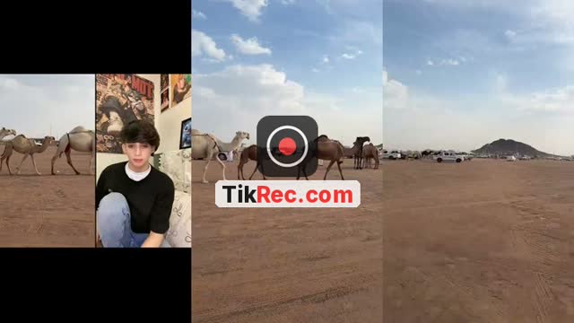 @r.hm999 TikTok live