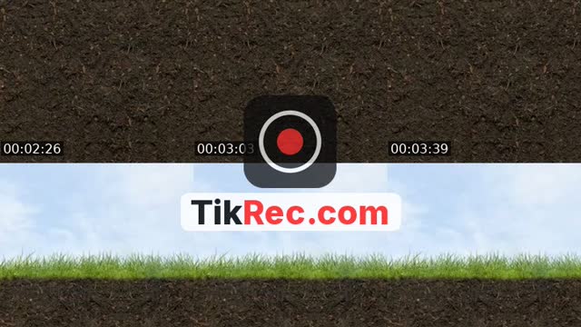 @bzang0402 TikTok live