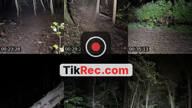 TikTok live: Waldstream bei Nacht 🌲👻 by @themrcrazy1997