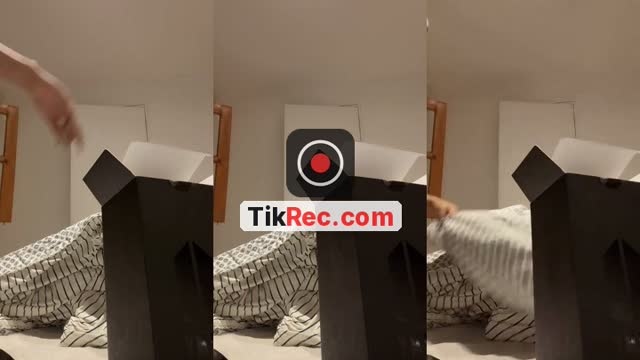 TikTok live: #bts by @milenca.zerafa