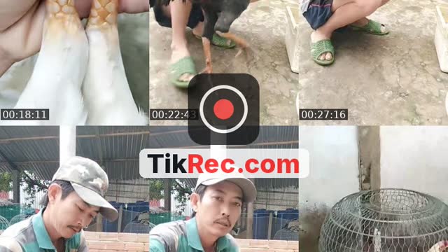 TikTok live: rất vui khi được gặp ae ở đây by @vinh.vui.v78