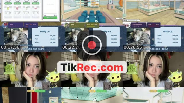 @dear_miffy TikTok live from 2026-10-10
