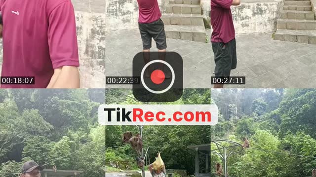 @detimmanik8 TikTok live from 2026-10-10