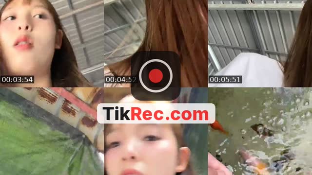 @beebeam47 TikTok live from 2026-10-10