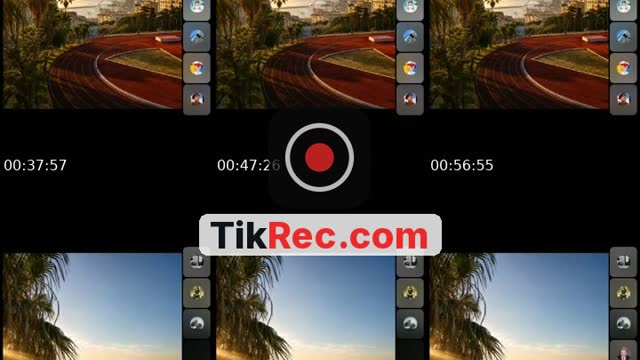 @ledictateurdz TikTok live