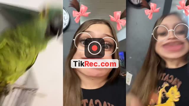 @userdaloirinha TikTok live