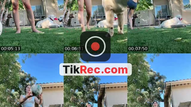 @prettylittlethangg2006 TikTok live
