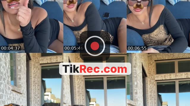 @wildcat56728 TikTok live