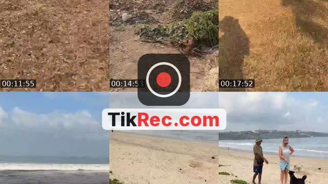 TikTok live: Salam kejenat-kejengit🐕🙏 by @streetdogsch