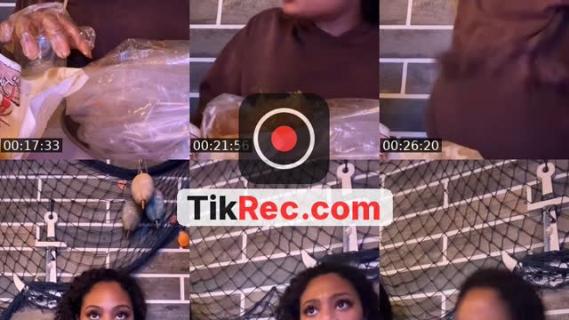 TikTok live: Atl by @zoespencer___