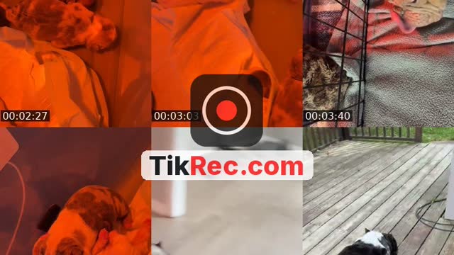 @_keliahsue TikTok live
