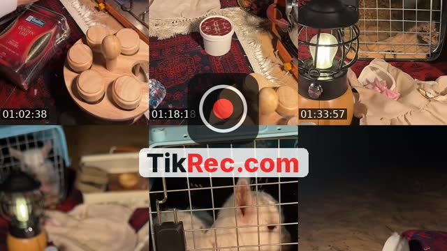 @rahall200 Saudi Arabia TikTok live from 2026-10-10