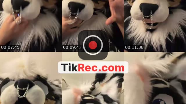 Face rev post tmr!!  - @pigface.creationz