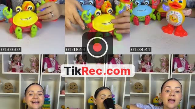 @danisampaio10 TikTok live from 2026-10-10