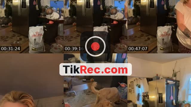 @littlelulus123 TikTok live from 2026-10-10