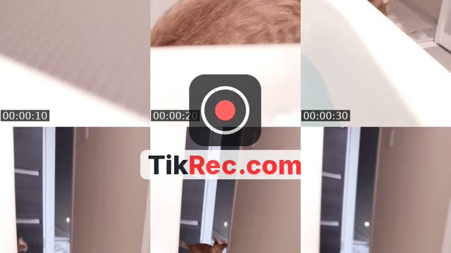 @mirerere___0 TikTok live from 2026-10-10