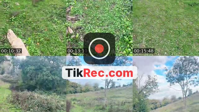 TikTok live: BACK FROM THE BAN 😂 by @unfairbound