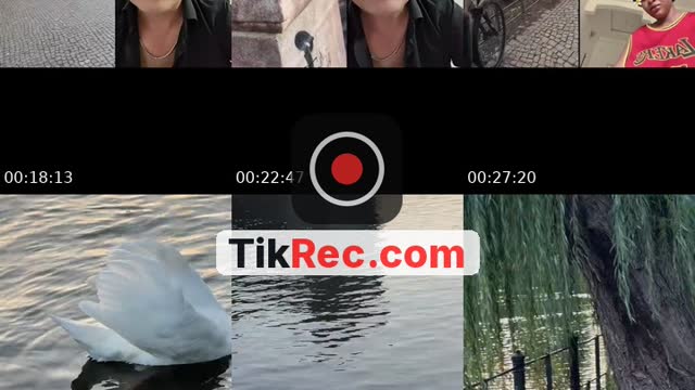 TikTok live: Galerimi aydınlatırmısın  🙏 by @schuekolata