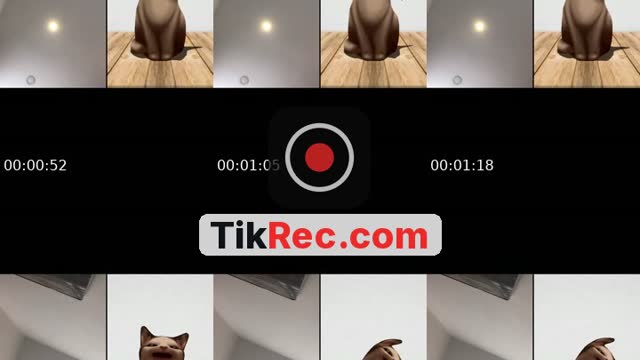 @chuiang0 TikTok live from 2026-10-10