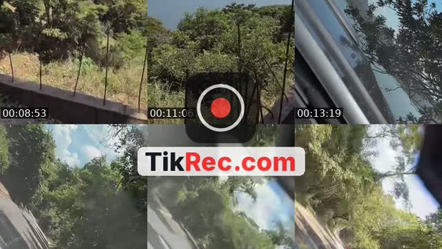 TikTok live: Música y baile by @eljinete237