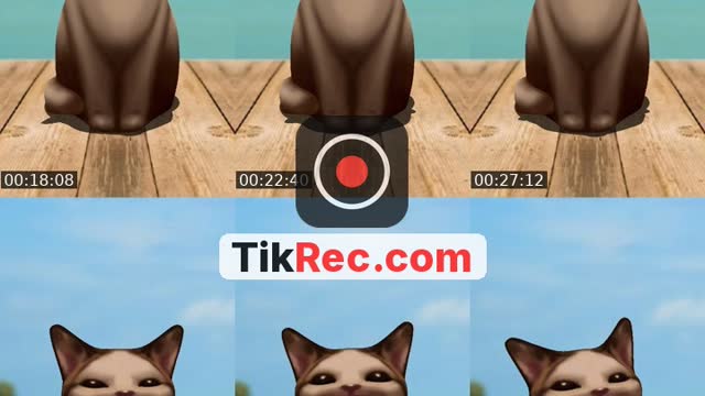 TikTok live: ミルだよ💛 by @_57391