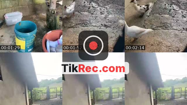 @jonnarosetaguiam TikTok live from 2026-10-10