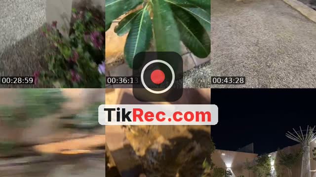 @vo.477 Saudi Arabia TikTok live from 2026-10-11