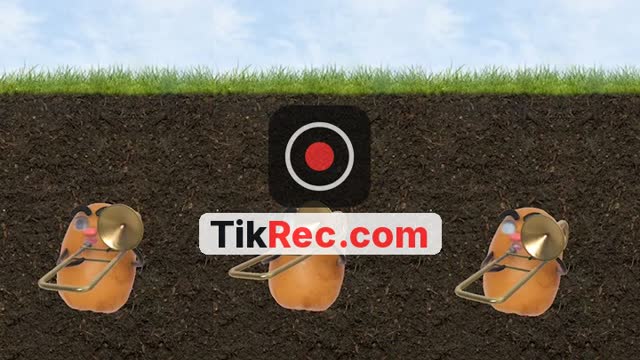 @chicanamami58 TikTok live from 2026-10-11