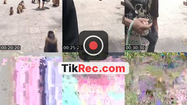 @detimmanik8 TikTok live from 2026-10-11
