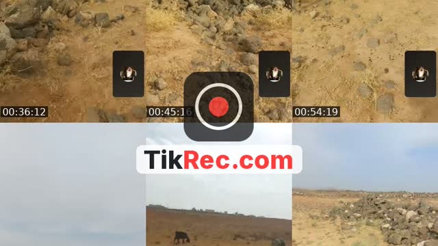 @taysir_almasaeid TikTok live