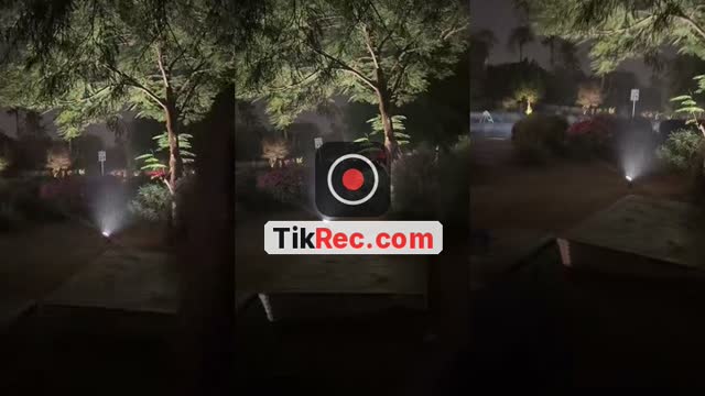 @bxbyyy.zky11 TikTok live