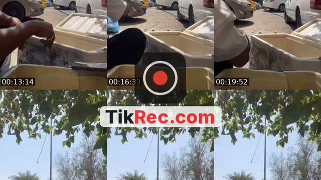 @arabiasil313 TikTok live