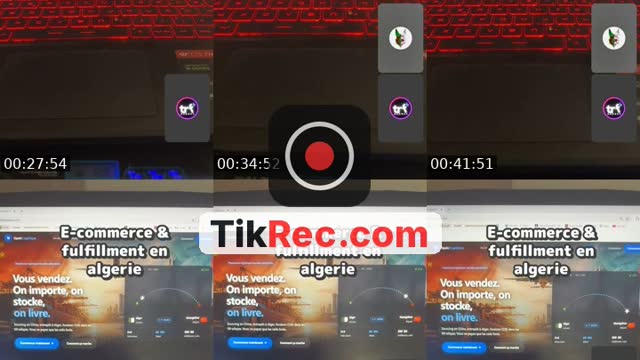 @opalologistique TikTok live